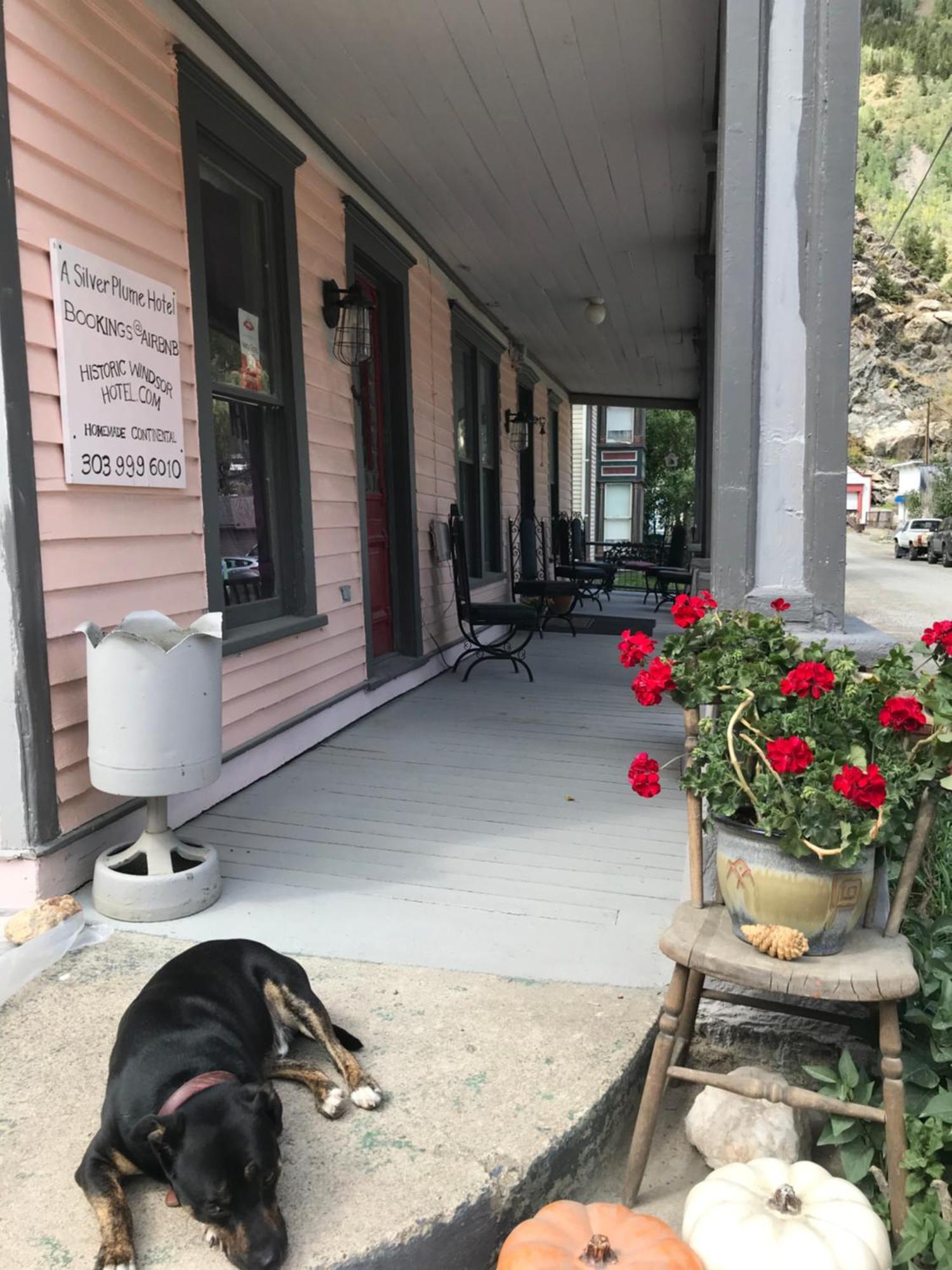 Historic Windsor Bed and Breakfast Silver Plume Eksteriør billede